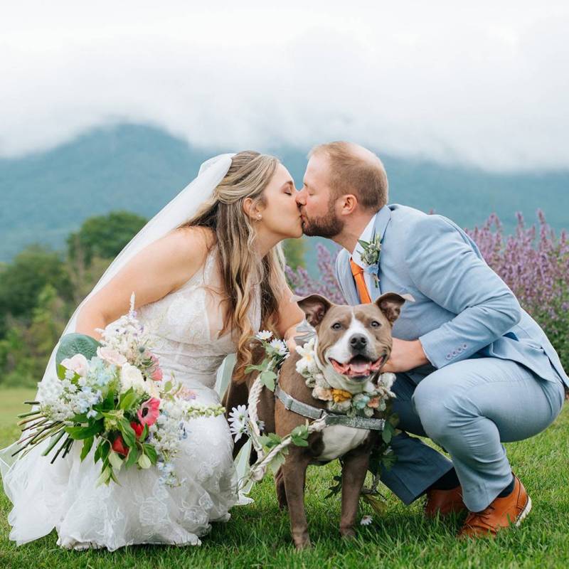 Bride and groom kneeling and kissing over their dog who is wearing a floral collar