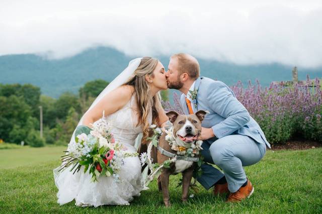 Bride and groom kneeling and kissing over their dog who is wearing a floral collar