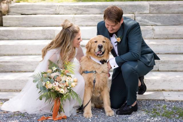 Bride and groom smiling at their golden retriever dog wearing a bow tie for wedding