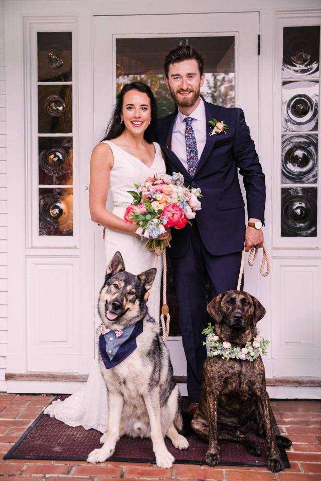Bride and groom posing with two dogs, one wearing a bow tie bandana and one wearing a floral collar during Vermont wedding